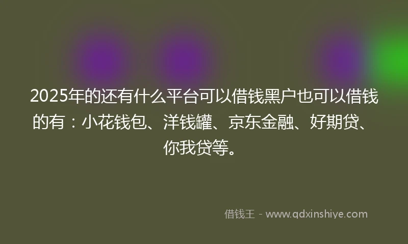 2025年的还有什么平台可以借钱黑户也可以借钱的有：小花钱包、洋钱罐、京东金融、好期贷、你我贷等。