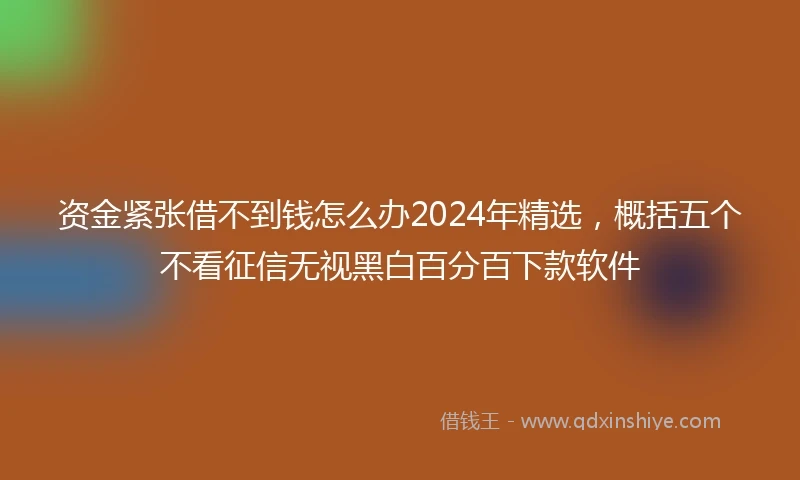 资金紧张借不到钱怎么办2024年精选，概括五个不看征信无视黑白百分百下款软件