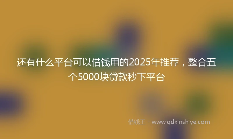 还有什么平台可以借钱用的2025年推荐，整合五个5000块贷款秒下平台