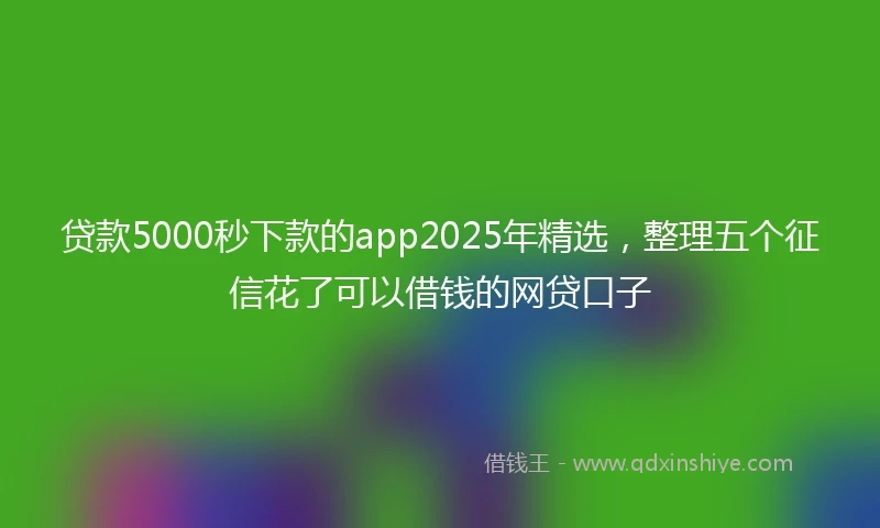 贷款5000秒下款的app2025年精选，整理五个征信花了可以借钱的网贷口子
