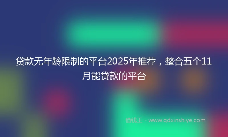 贷款无年龄限制的平台2025年推荐，整合五个11月能贷款的平台