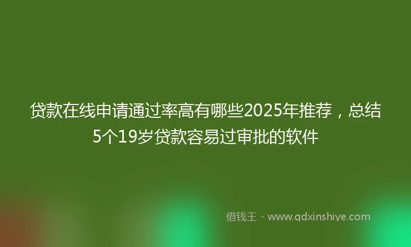 贷款在线申请通过率高有哪些2025年推荐,总结5个19岁贷款容易过审批的软件