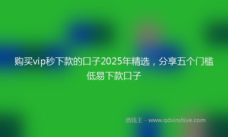 购买vip秒下款的口子2025年精选，分享五个门槛低易下款口子