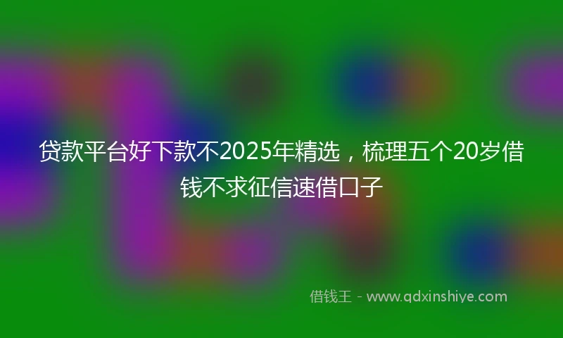 贷款平台好下款不2025年精选，梳理五个20岁借钱不求征信速借口子