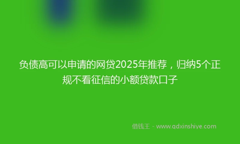 负债高可以申请的网贷2025年推荐，归纳5个正规不看征信的小额贷款口子
