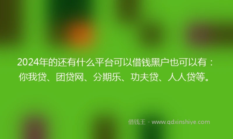 2024年的还有什么平台可以借钱黑户也可以有：你我贷、团贷网、分期乐、功夫贷、人人贷等。