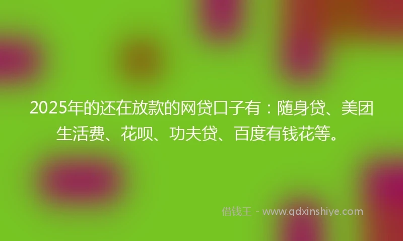 2025年的还在放款的网贷口子有：随身贷、美团生活费、花呗、功夫贷、百度有钱花等。