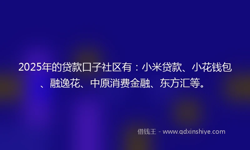 2025年的贷款口子社区有：小米贷款、小花钱包、融逸花、中原消费金融、东方汇等。