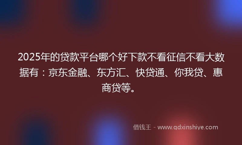 2025年的贷款平台哪个好下款不看征信不看大数据有：京东金融、东方汇、快贷通、你我贷、惠商贷等。
