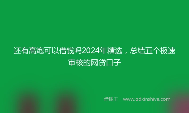 还有高炮可以借钱吗2024年精选，总结五个极速审核的网贷口子