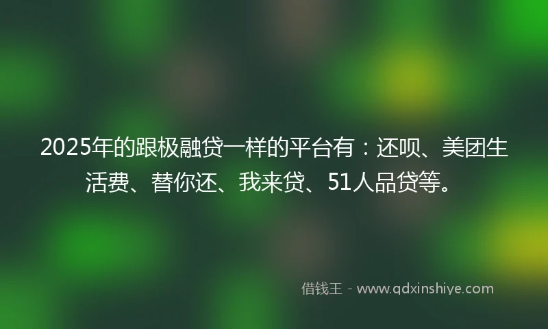 2025年的跟极融贷一样的平台有：还呗、美团生活费、替你还、我来贷、51人品贷等。