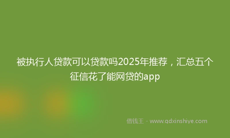 被执行人贷款可以贷款吗2025年推荐，汇总五个征信花了能网贷的app