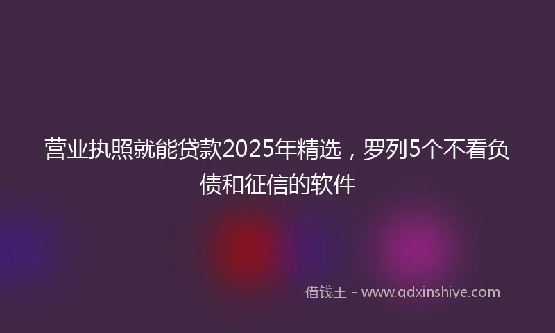 营业执照就能贷款2025年精选，罗列5个不看负债和征信的软件
