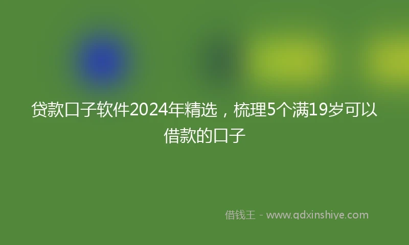 贷款口子软件2024年精选，梳理5个满19岁可以借款的口子
