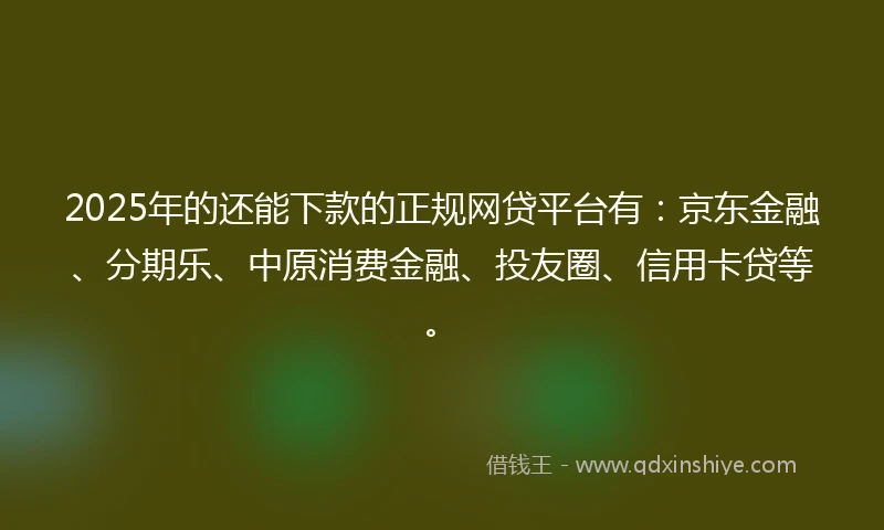 2025年的还能下款的正规网贷平台有：京东金融、分期乐、中原消费金融、投友圈、信用卡贷等。