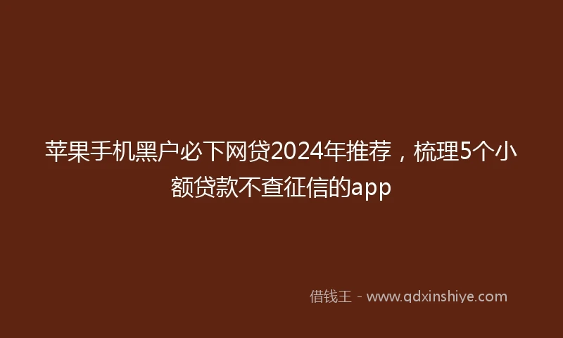 苹果手机黑户必下网贷2024年推荐，梳理5个小额贷款不查征信的app
