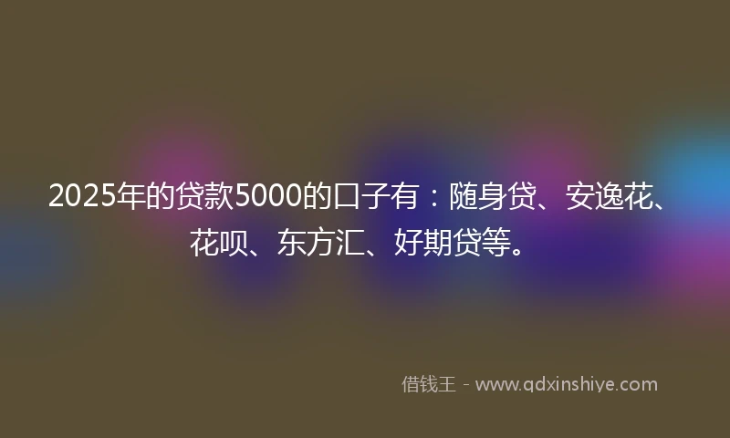 2025年的贷款5000的口子有：随身贷、安逸花、花呗、东方汇、好期贷等。