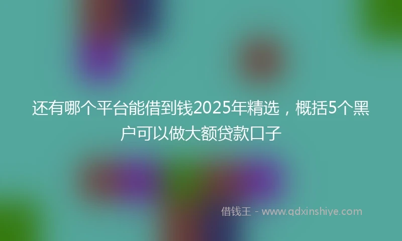 还有哪个平台能借到钱2025年精选，概括5个黑户可以做大额贷款口子