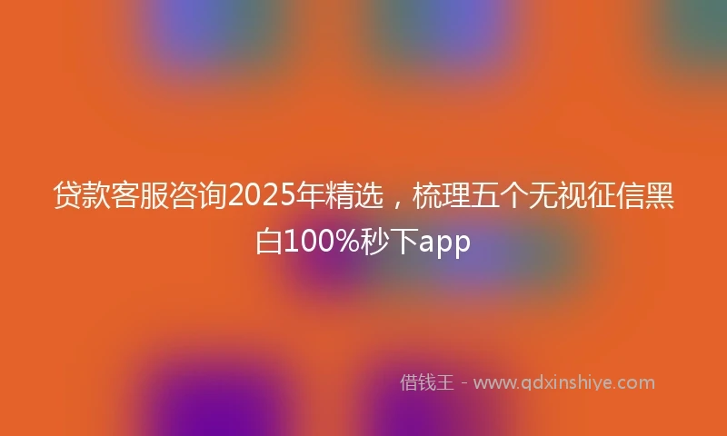 贷款客服咨询2025年精选，梳理五个无视征信黑白100%秒下app