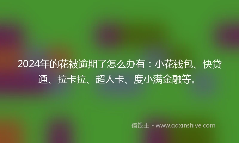 2024年的花被逾期了怎么办有：小花钱包、快贷通、拉卡拉、超人卡、度小满金融等。