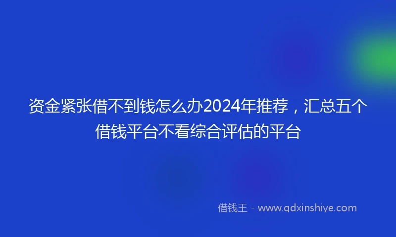 资金紧张借不到钱怎么办2024年推荐，汇总五个借钱平台不看综合评估的平台