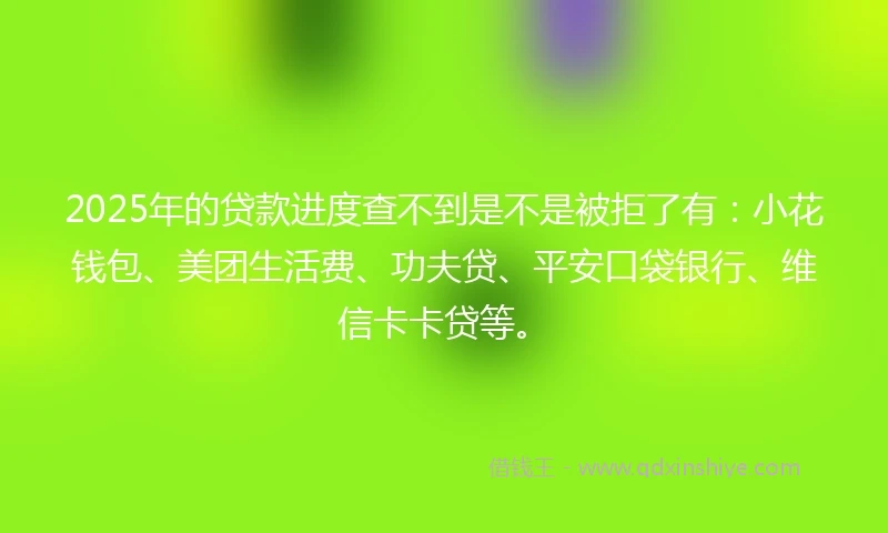 2025年的贷款进度查不到是不是被拒了有：小花钱包、美团生活费、功夫贷、平安口袋银行、维信卡卡贷等。