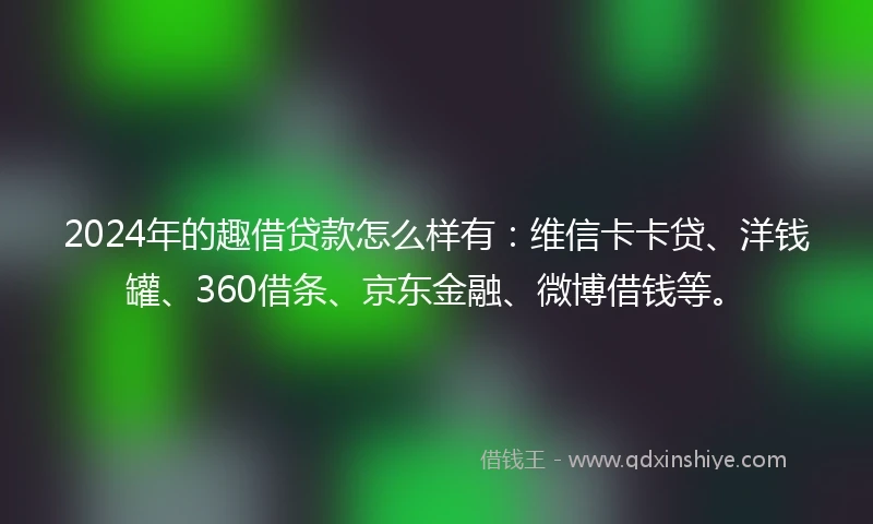 2024年的趣借贷款怎么样有：维信卡卡贷、洋钱罐、360借条、京东金融、微博借钱等。