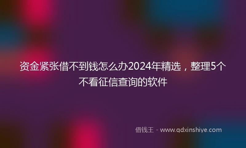 资金紧张借不到钱怎么办2024年精选，整理5个不看征信查询的软件