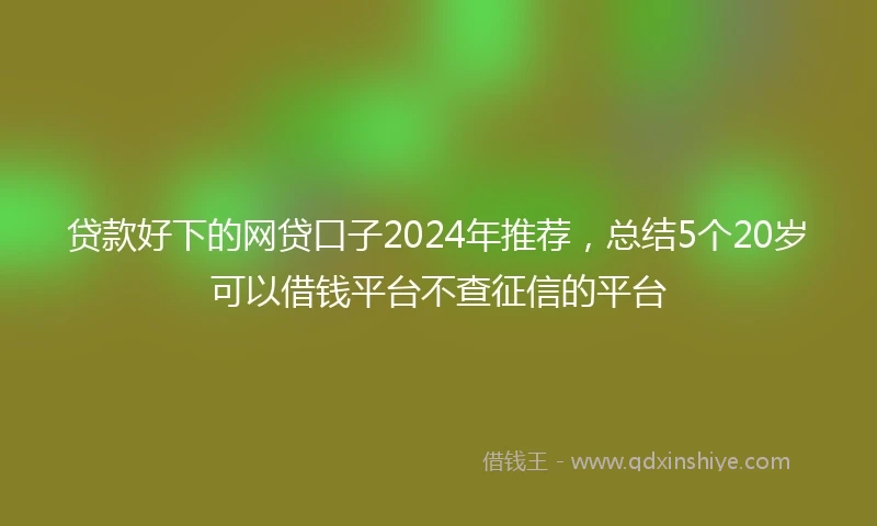 贷款好下的网贷口子2024年推荐，总结5个20岁可以借钱平台不查征信的平台