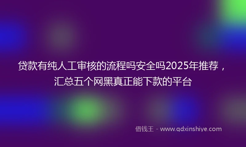 贷款有纯人工审核的流程吗安全吗2025年推荐，汇总五个网黑真正能下款的平台
