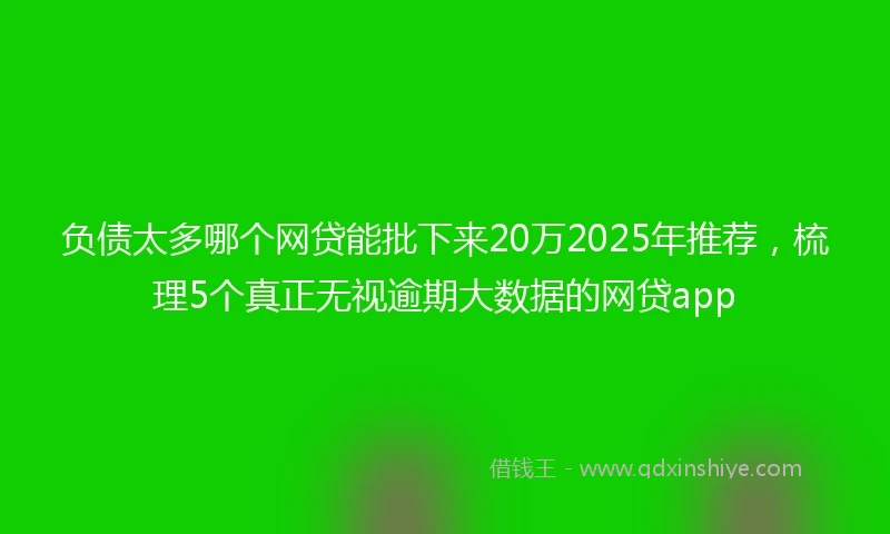 负债太多哪个网贷能批下来20万2025年推荐，梳理5个真正无视逾期大数据的网贷app