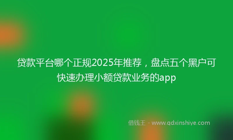 贷款平台哪个正规2025年推荐，盘点五个黑户可快速办理小额贷款业务的app