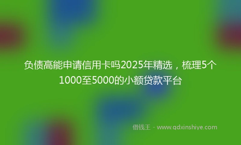负债高能申请信用卡吗2025年精选，梳理5个1000至5000的小额贷款平台