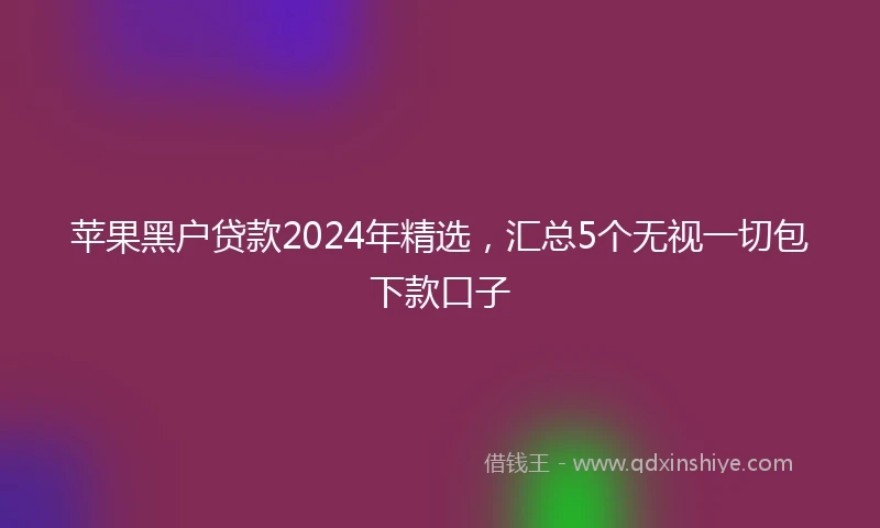 苹果黑户贷款2024年精选，汇总5个无视一切包下款口子