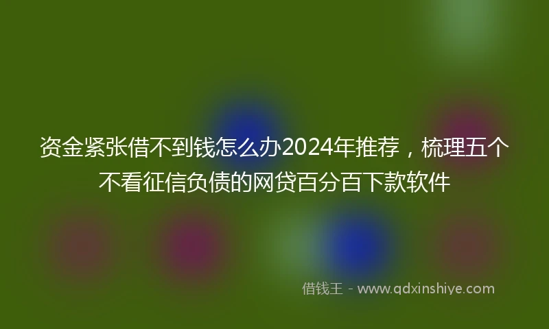 资金紧张借不到钱怎么办2024年推荐，梳理五个不看征信负债的网贷百分百下款软件
