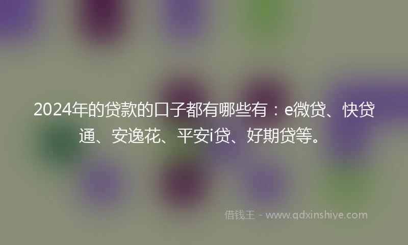 2024年的贷款的口子都有哪些有：e微贷、快贷通、安逸花、平安i贷、好期贷等。