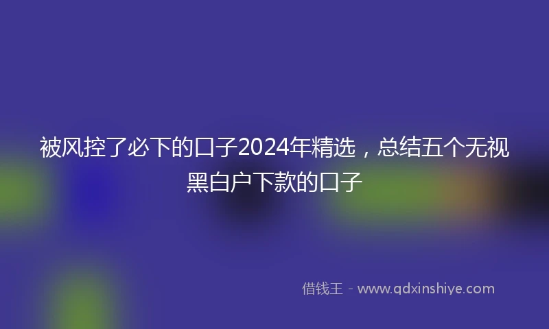 被风控了必下的口子2024年精选，总结五个无视黑白户下款的口子
