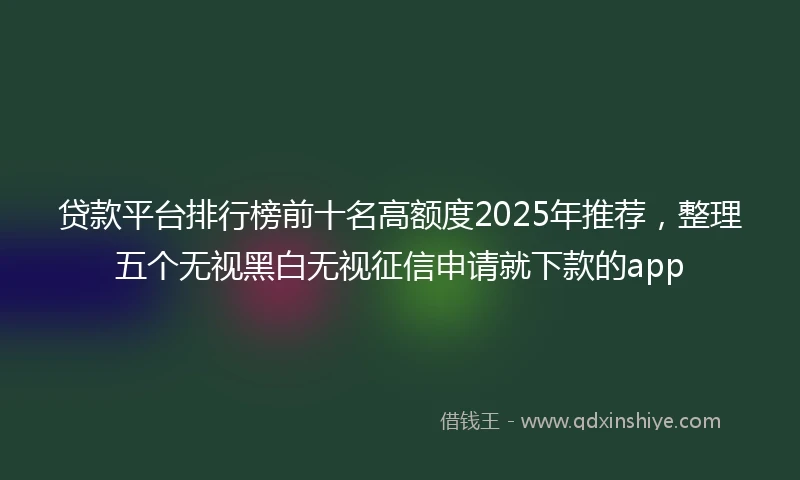 贷款平台排行榜前十名高额度2025年推荐，整理五个无视黑白无视征信申请就下款的app