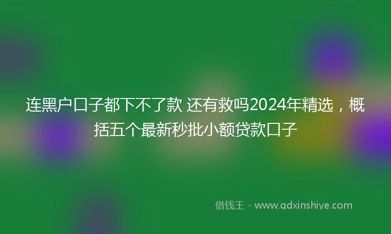 连黑户口子都下不了款 还有救吗2024年精选，概括五个最新秒批小额贷款口子