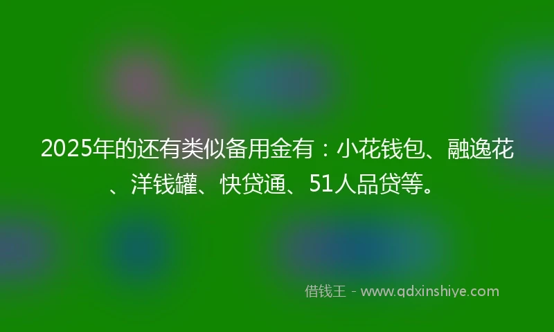2025年的还有类似备用金有：小花钱包、融逸花、洋钱罐、快贷通、51人品贷等。
