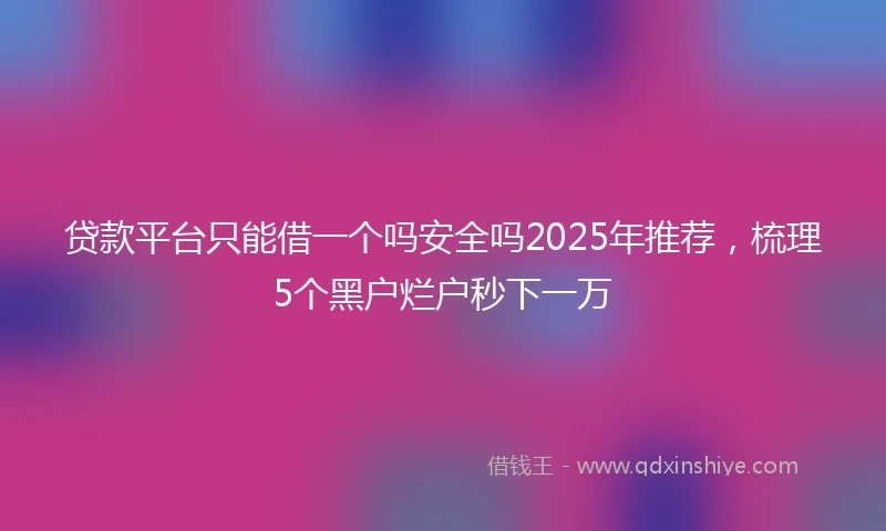 贷款平台只能借一个吗安全吗2025年推荐，梳理5个黑户烂户秒下一万