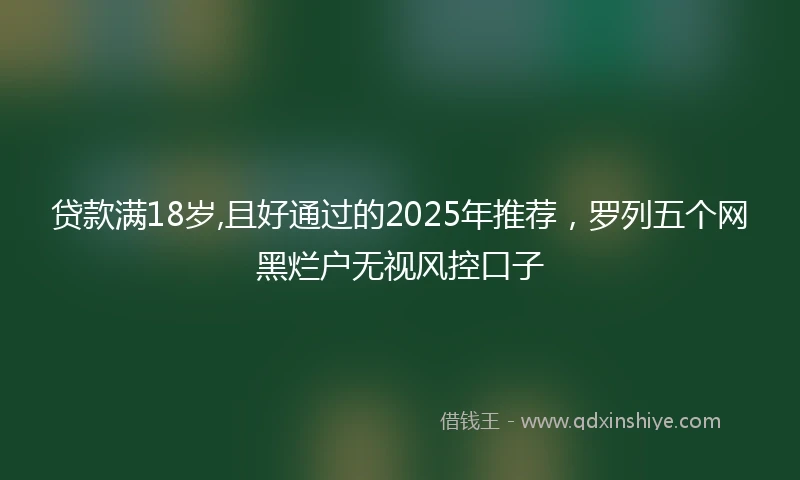 贷款满18岁,且好通过的2025年推荐，罗列五个网黑烂户无视风控口子