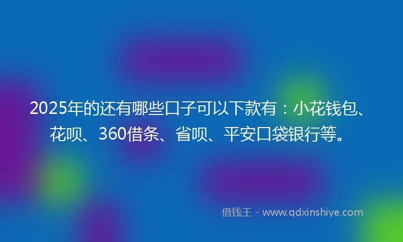 2025年的还有哪些口子可以下款有：小花钱包、花呗、360借条、省呗、平安口袋银行等。