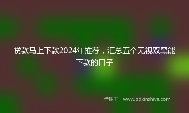 贷款马上下款2024年推荐，汇总五个无视双黑能下款的口子