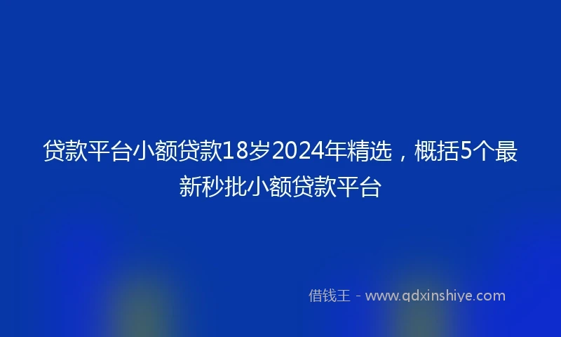 贷款平台小额贷款18岁2024年精选，概括5个最新秒批小额贷款平台