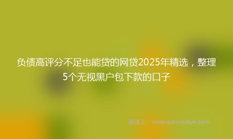负债高评分不足也能贷的网贷2025年精选，整理5个无视黑户包下款的口子
