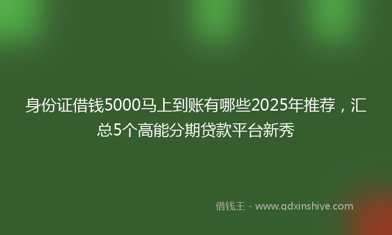 身份证借钱5000马上到账有哪些2025年推荐，汇总5个高能分期贷款平台新秀
