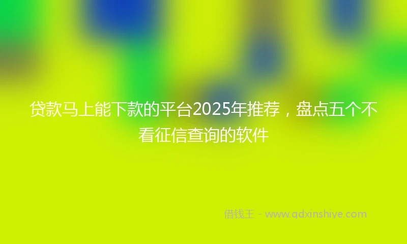 贷款马上能下款的平台2025年推荐，盘点五个不看征信查询的软件
