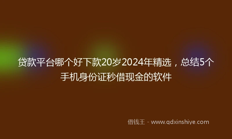 贷款平台哪个好下款20岁2024年精选，总结5个手机身份证秒借现金的软件