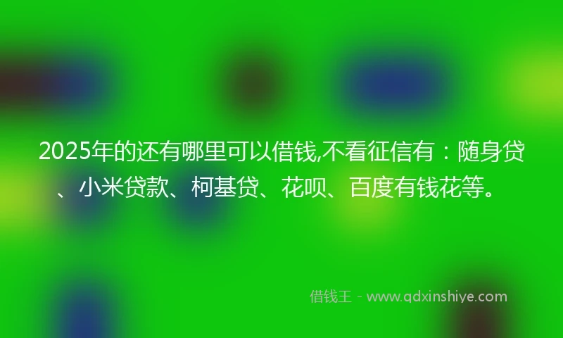 2025年的还有哪里可以借钱,不看征信有：随身贷、小米贷款、柯基贷、花呗、百度有钱花等。